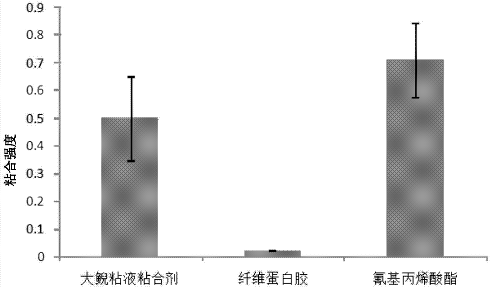 Application of Giant Salamander Mucus in Preparation of Adhesive