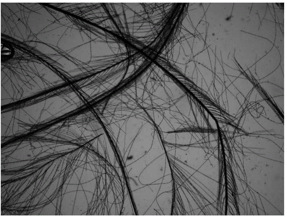 Method for separating feather fibers from poultry feather raw material