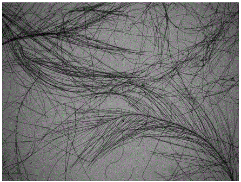 Method for separating feather fibers from poultry feather raw material