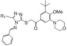 Triazole Schiff base compounds as well as preparation methods and applications of triazole Schiff base compounds