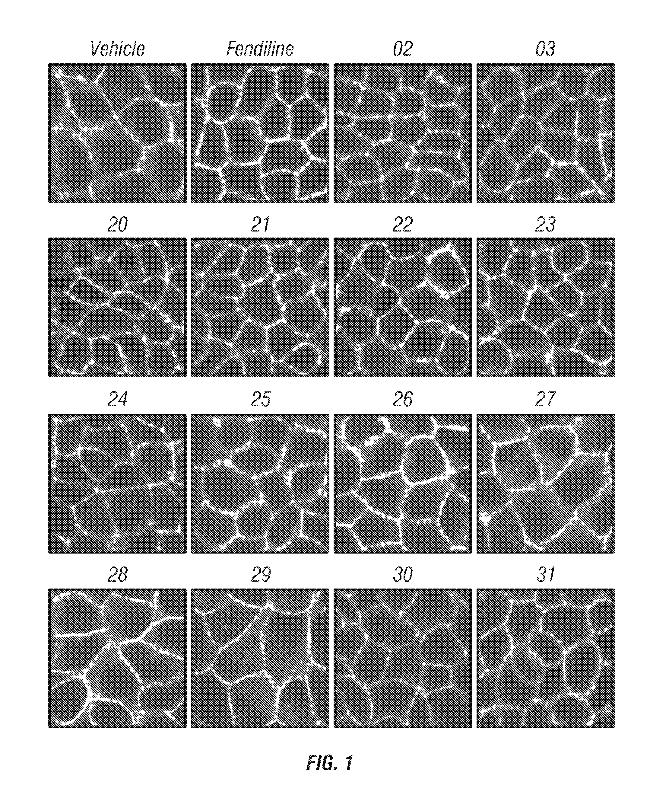 Fendiline derivatives and methods of use thereof