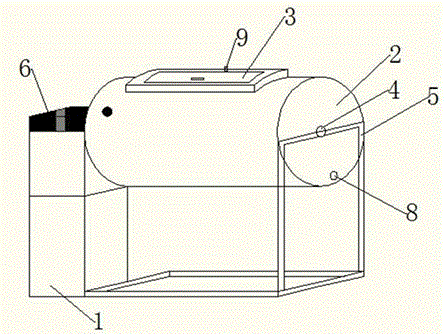 Dry salt pickling device