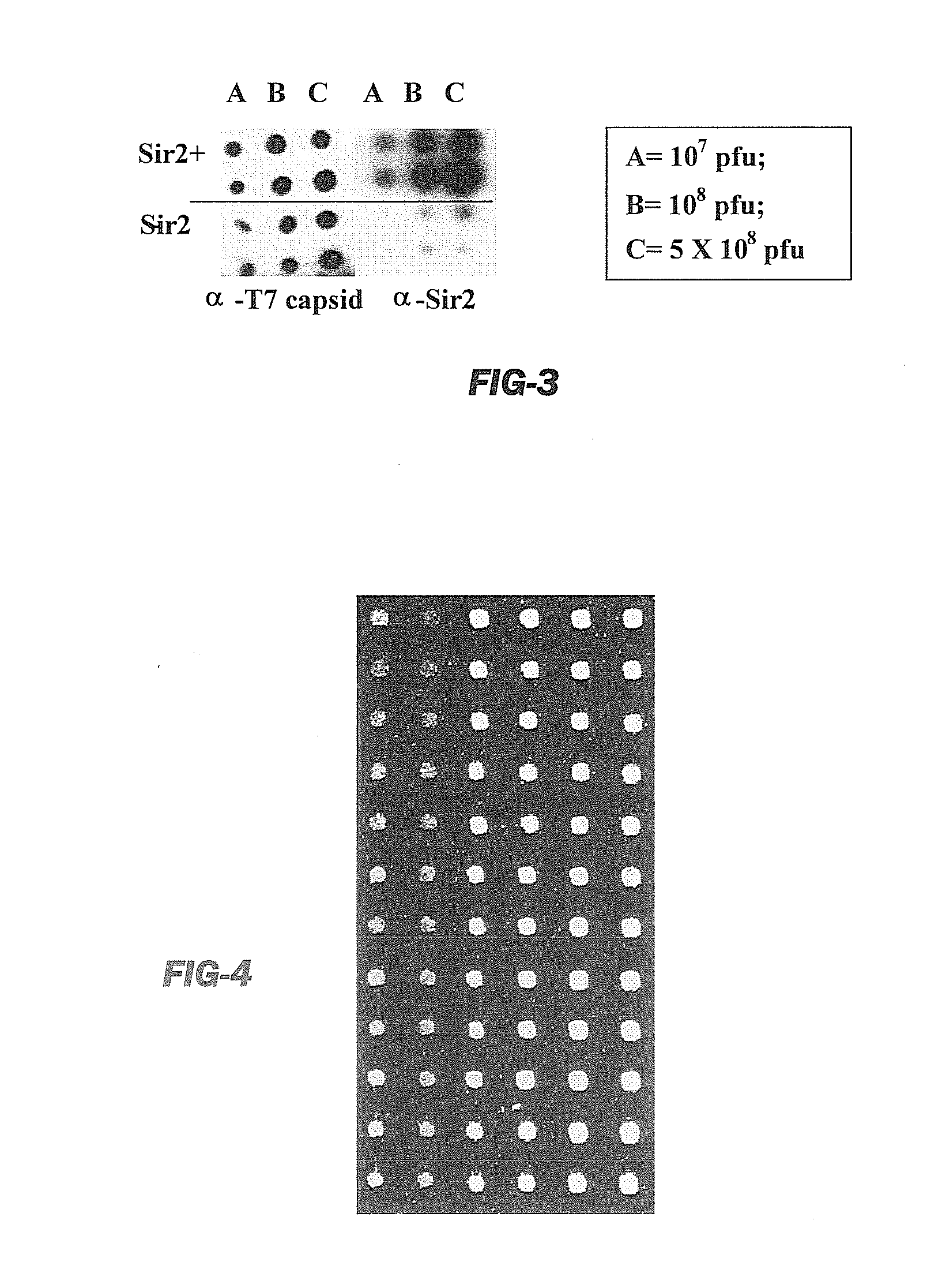 Neoepitope detection of disease using protein arrays