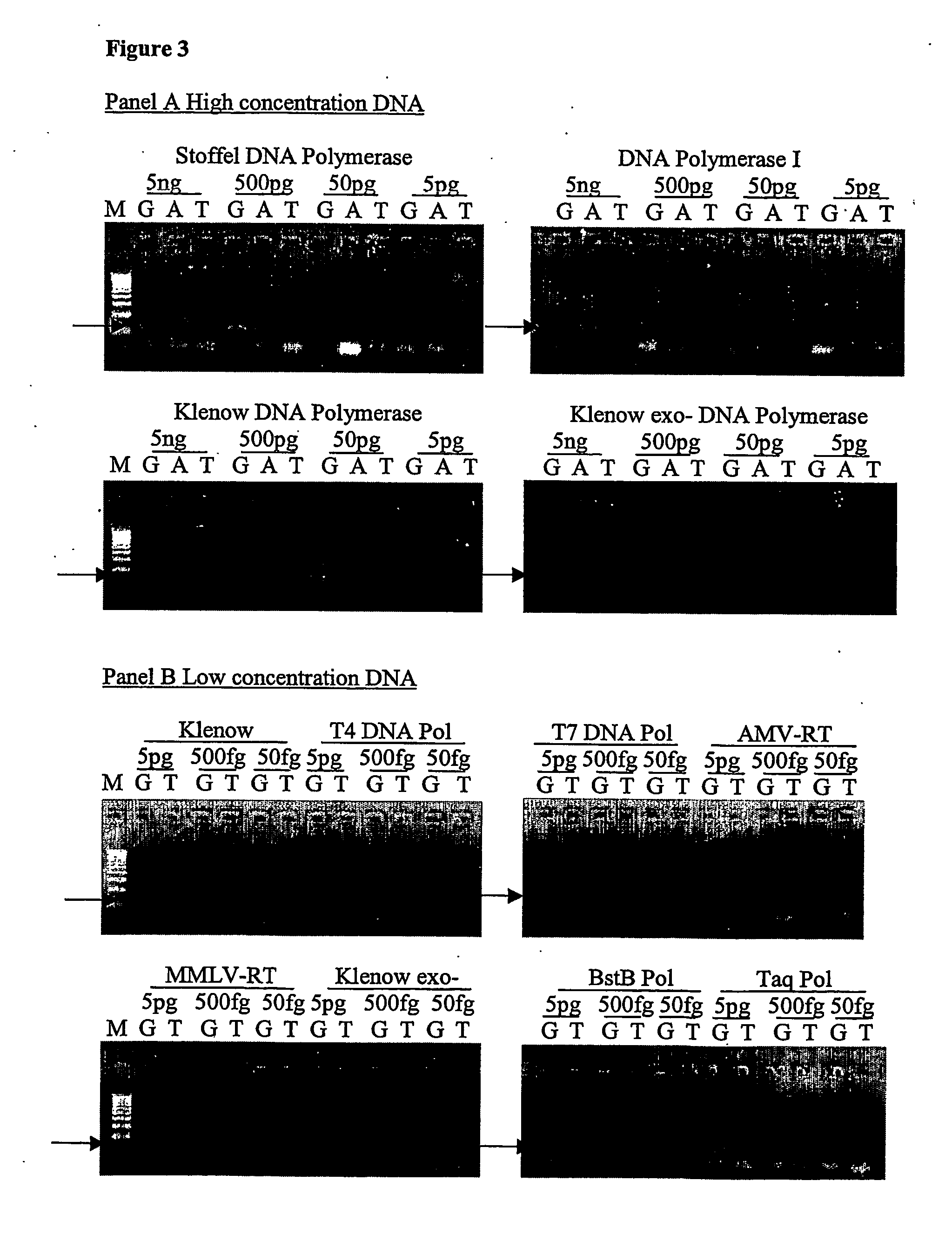 Nucleic acid detection assay