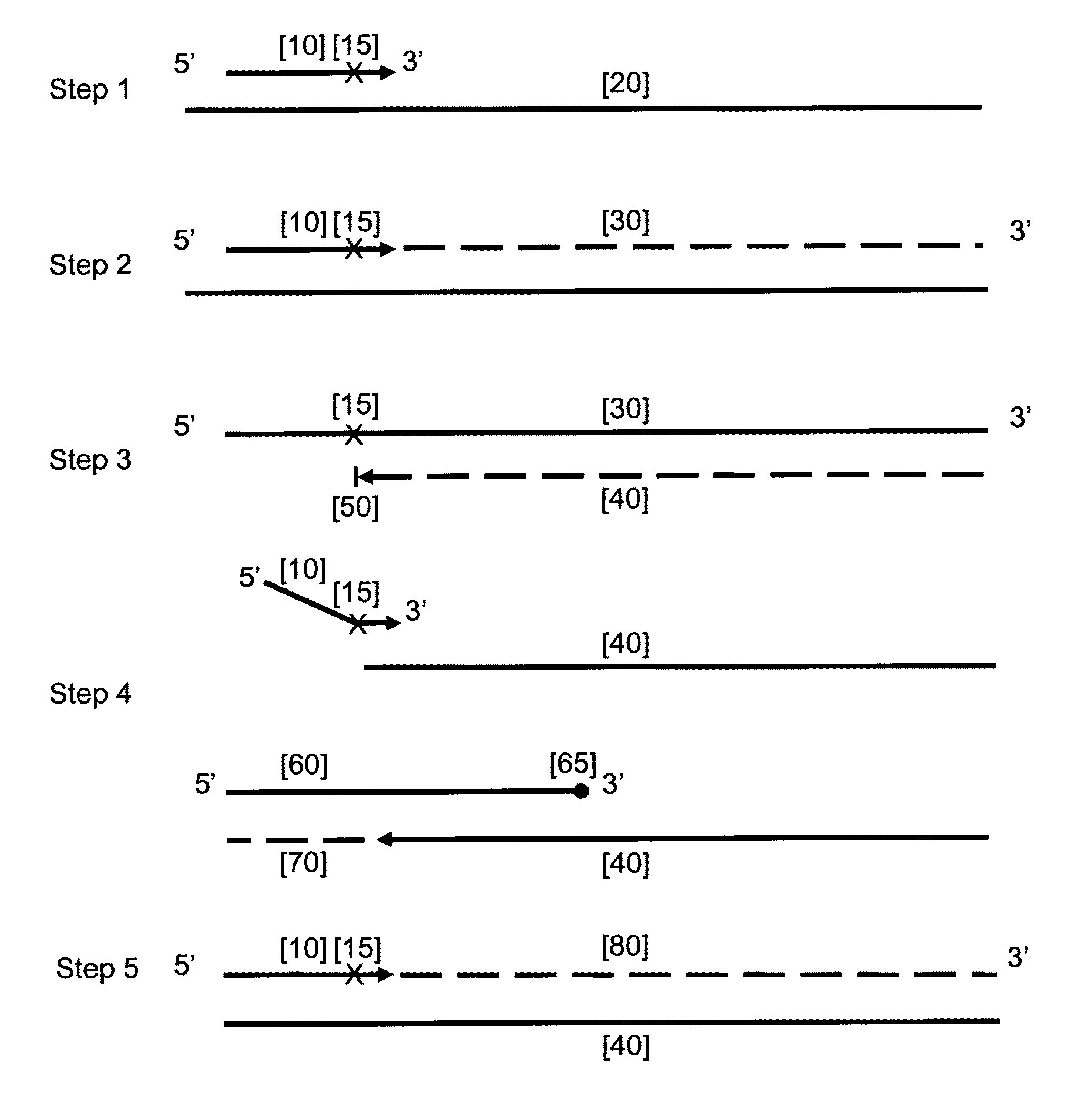 Nucleic acid amplification