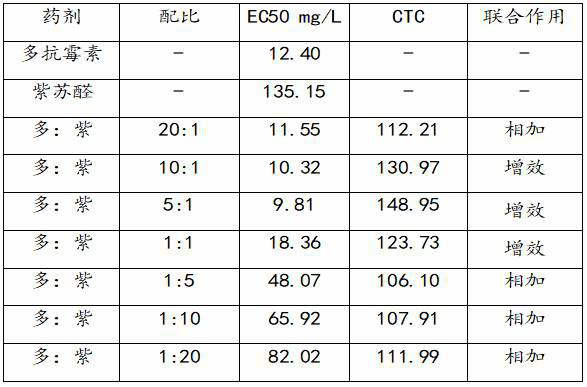 Bactericidal composition for tomato disease control and application thereof