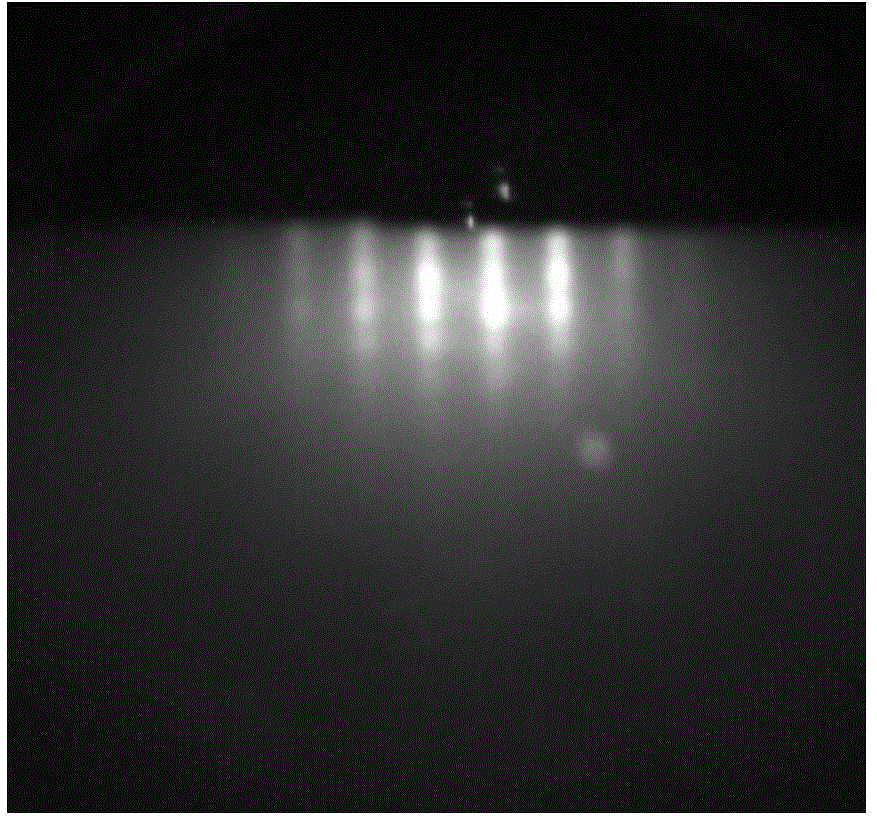 AlN film growing on Zr substrate, and preparation method and application of AlN film