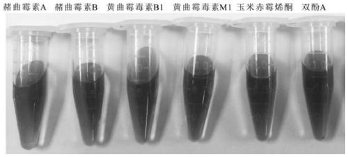 A kind of detection method and detection kit of ochratoxin A