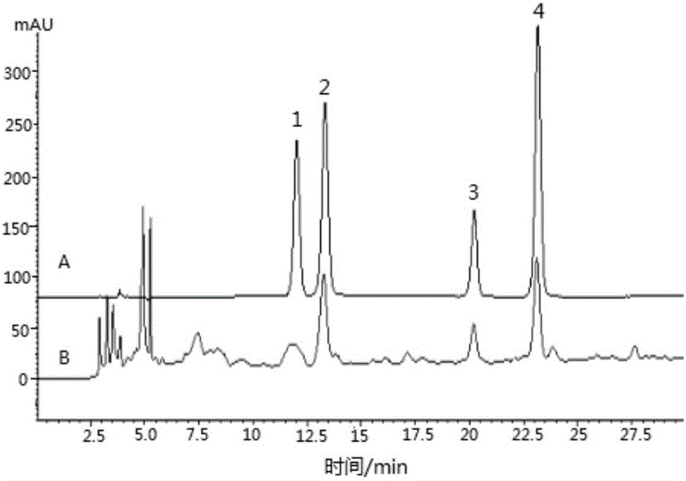 Macadamia nut wine with sleep improvement function and production method thereof