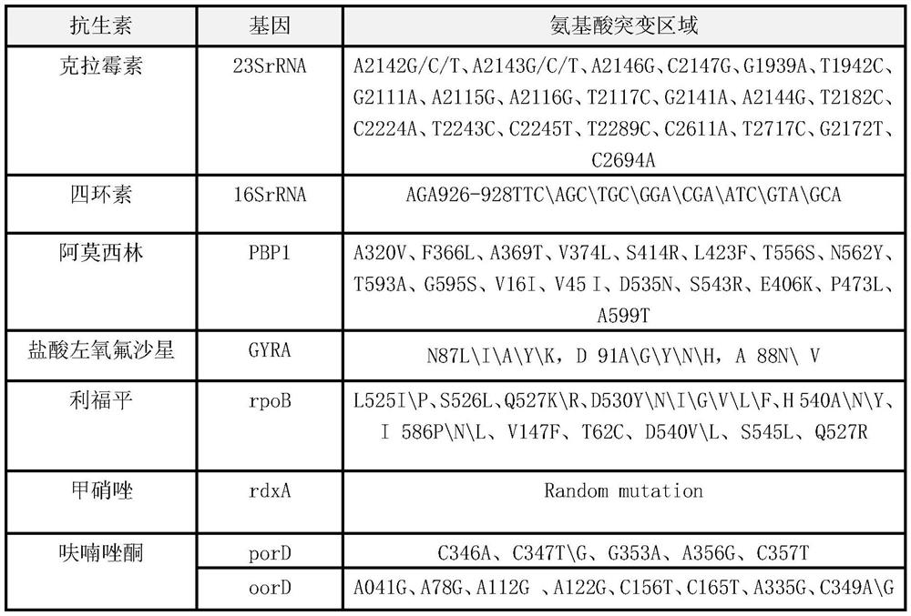 Quick molecular diagnosis method and reagent kit for individualized medication guidance for eradication therapy of helicobacter pylori