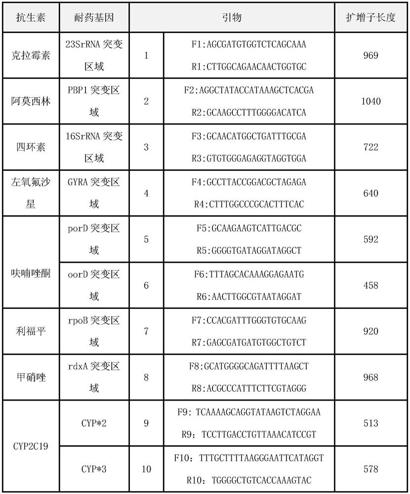 Quick molecular diagnosis method and reagent kit for individualized medication guidance for eradication therapy of helicobacter pylori