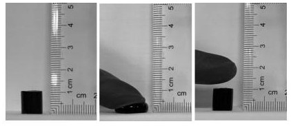 Injectable high-pressure-resistant high-strength anti-freezing genipin cross-linked gelatin hydrogel and preparation method thereof