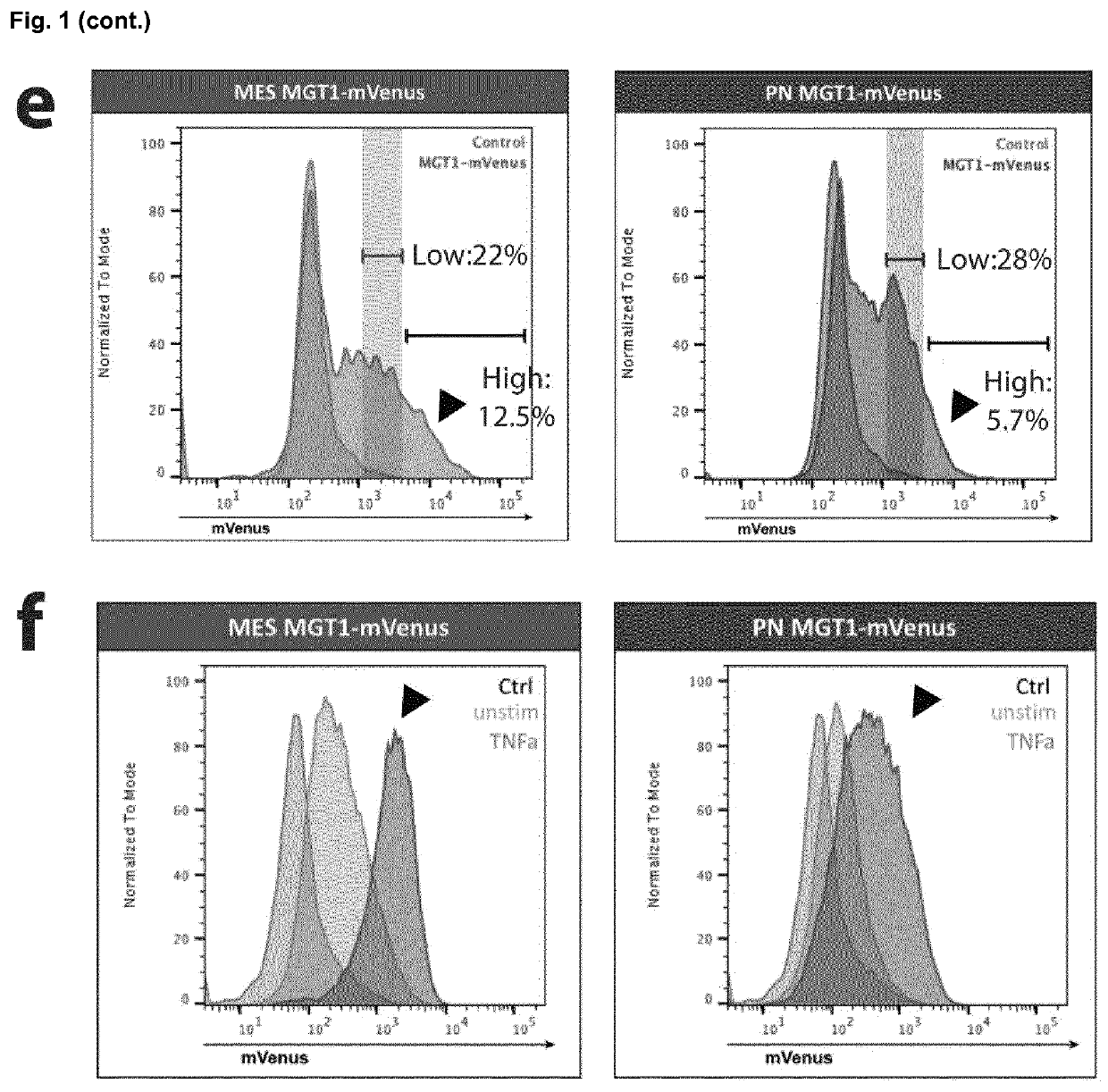 Method for Engineering Synthetic Cis-Regulatory DNA