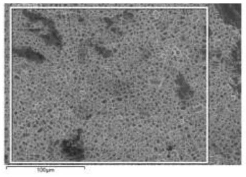 Preparation method of titanium dioxide photocatalysis coating