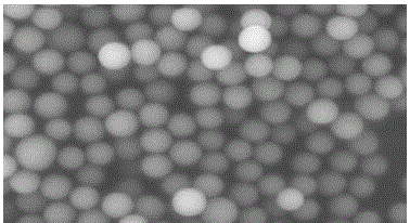 Preparation method for N-doped hollow carbon nanosphere loaded ultra-small gold nanoparticle material