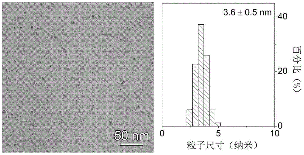 Magnetic nanoparticle magnetic resonance contrast agent and method for enhancing magnetic nanoparticle relaxivity