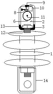 Short-distance branch terminal tightening and automatic locking strained tensioner