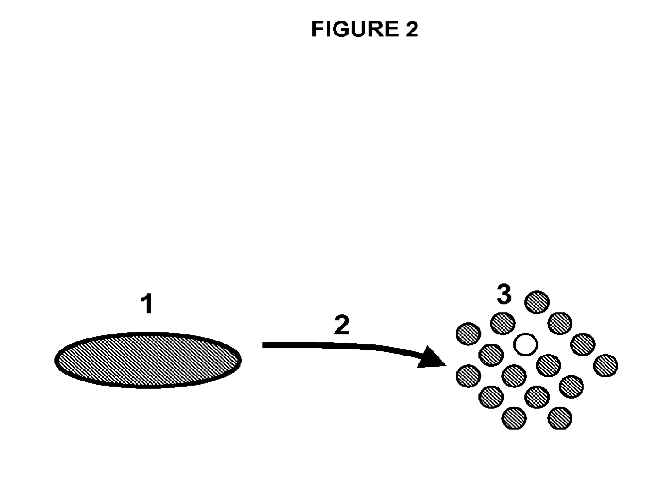 Human disc tissue