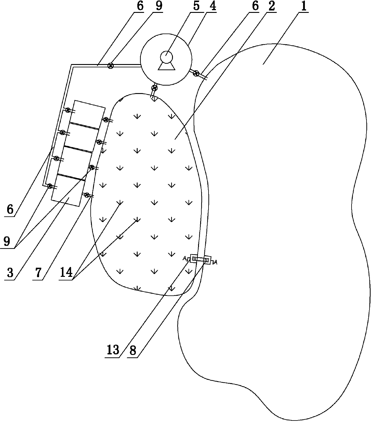 Large-water-surface low-cost healthy high-efficiency bighead cultivating method