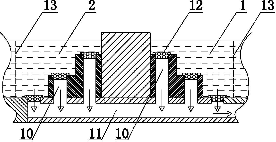 Large-water-surface low-cost healthy high-efficiency bighead cultivating method