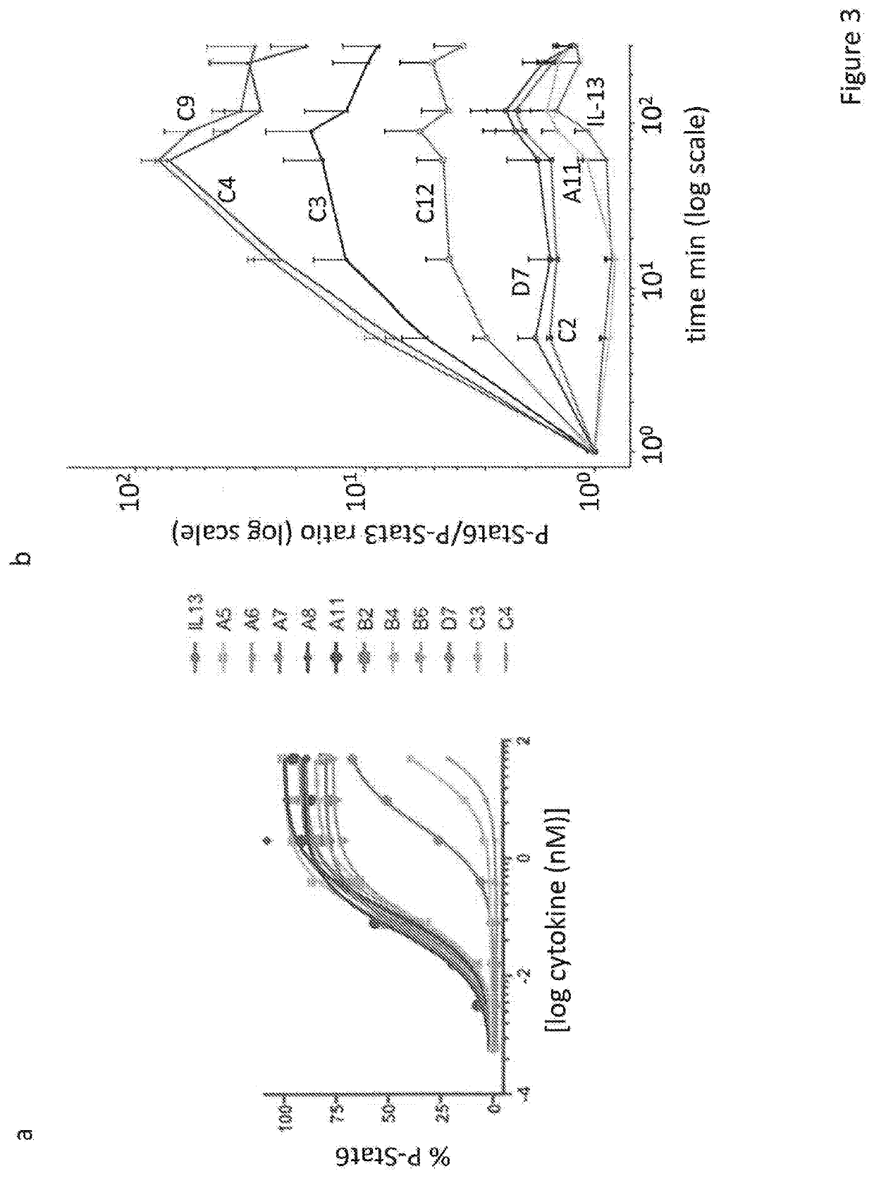 Il-13/il-4 superkines: immune cell targeting constructs and methods of use thereof