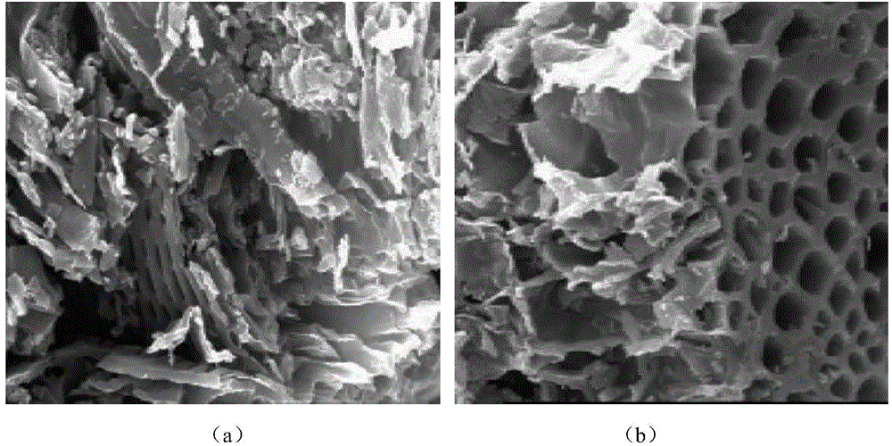 Nitrogen-enriched active biomass coke and preparation method thereof