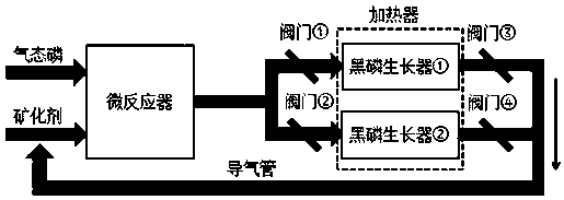 Continuous preparation method of black phosphorus