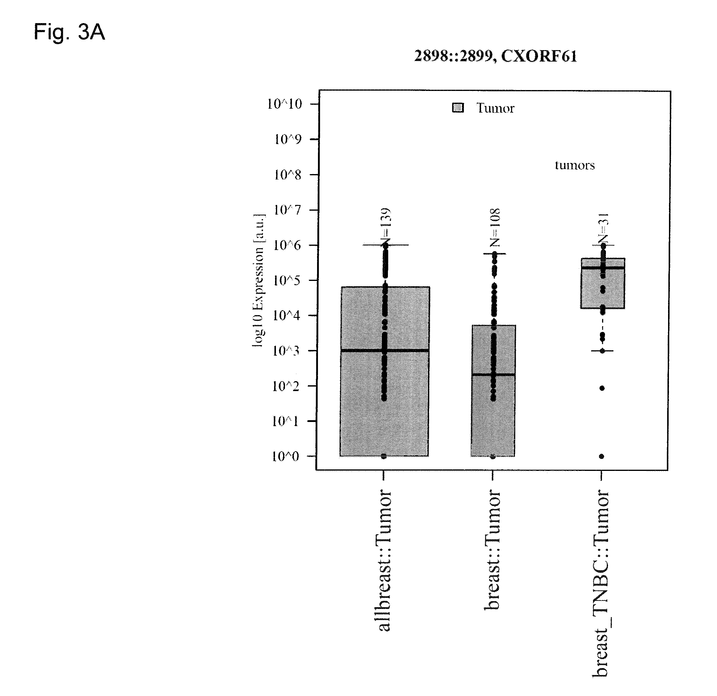 Tumor antigens for determining cancer therapy