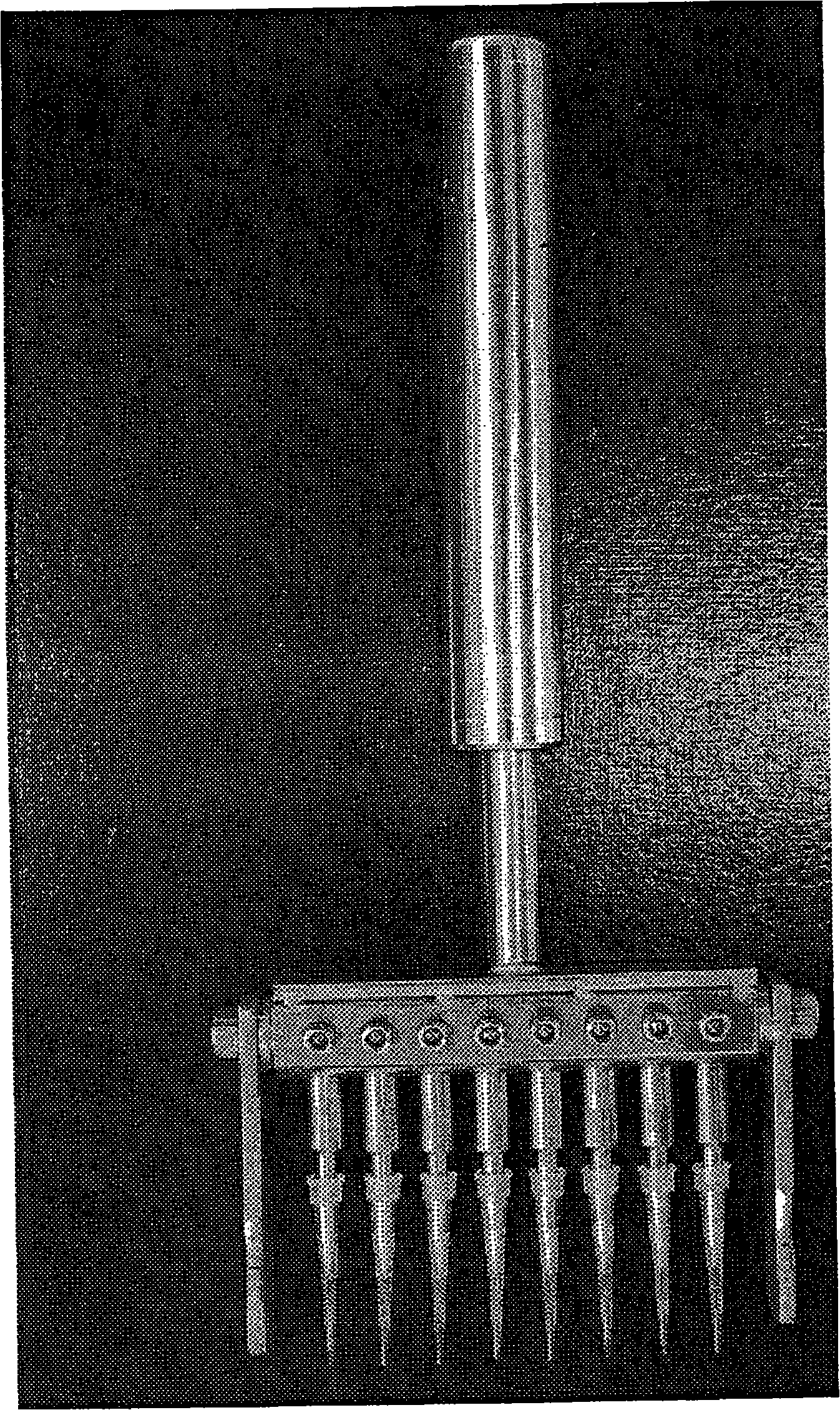 Mechanical damaging device for cell damage processing