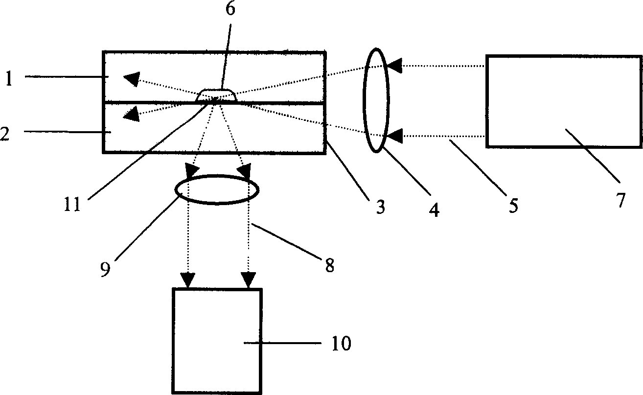 An orthogonal light path type fluorescent detection device for microchip analysis