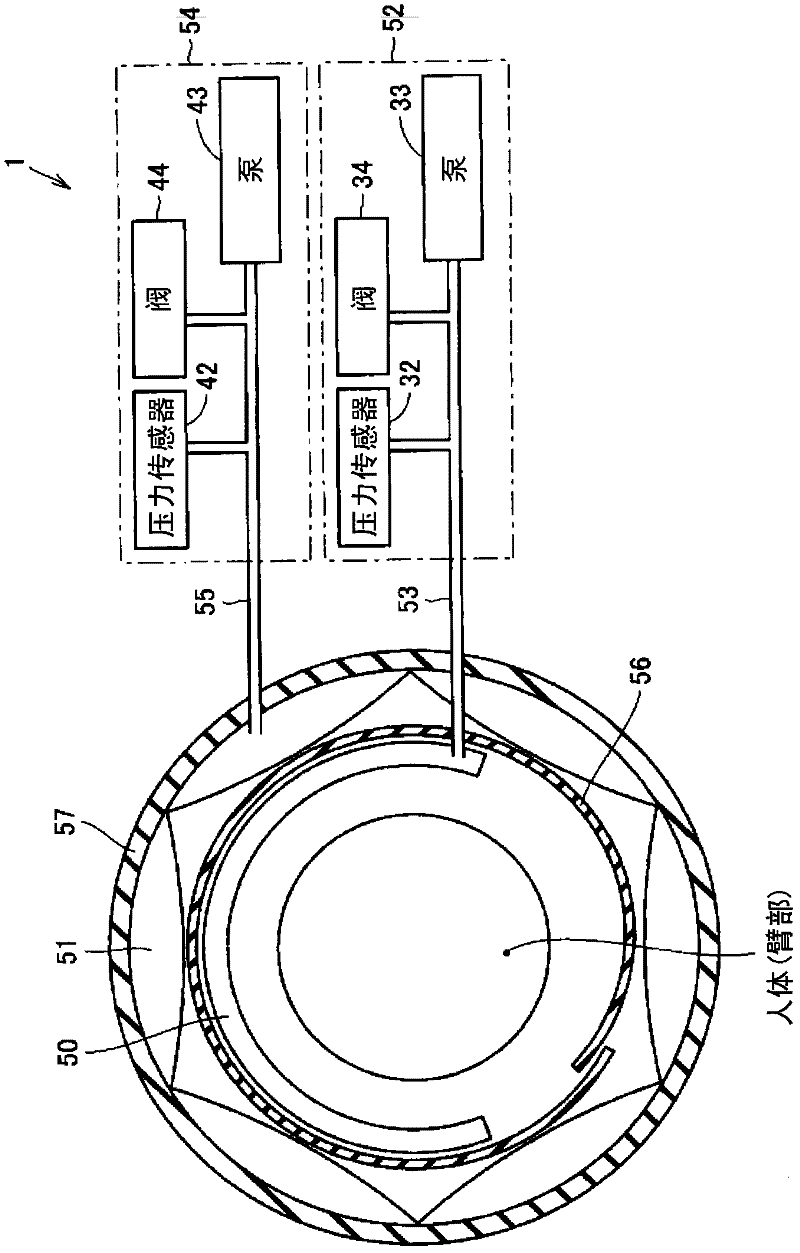 Blood pressure measuring device with improved display