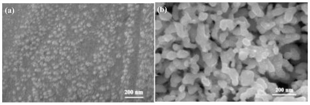 Gold film modified electrode for heavy metal detection and preparation method thereof