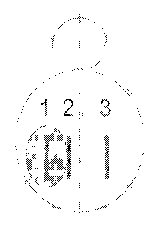 Methods for measuring changes in optical properties of wound tissue and correlating near infrared absorption(fNIR) and diffuse refelectance spectroscopy scattering (DRS) with tissue neovascularization and collagen concetration to determine whether wound is healing