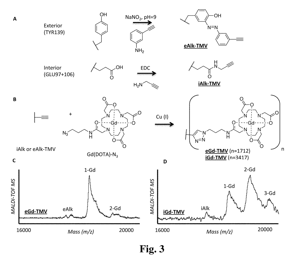 Rod-shaped plant virus nanoparticles as imaging agent platforms