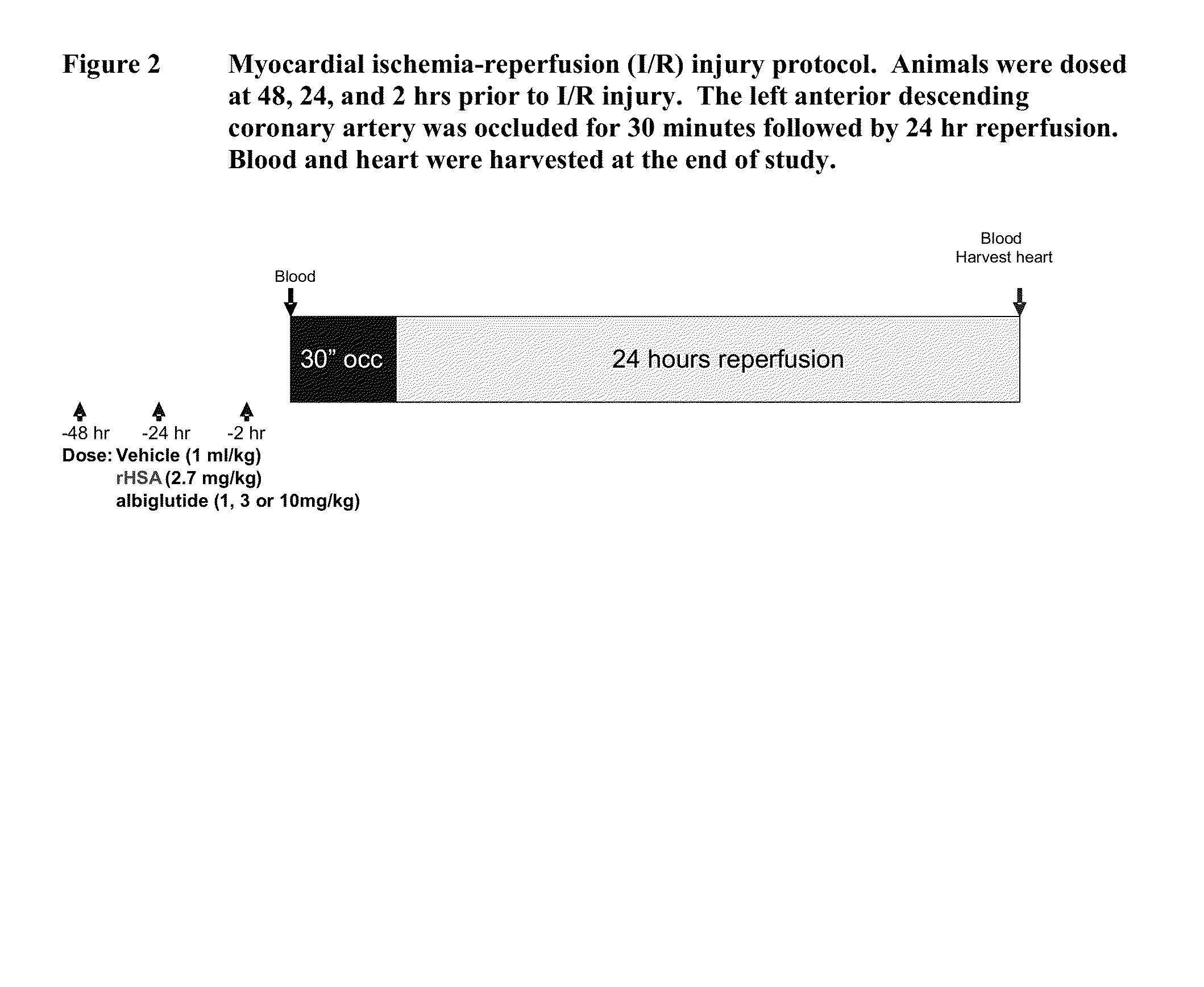 Methods for treating or preventing cardiovascular disorders and providing cardiovascular protection