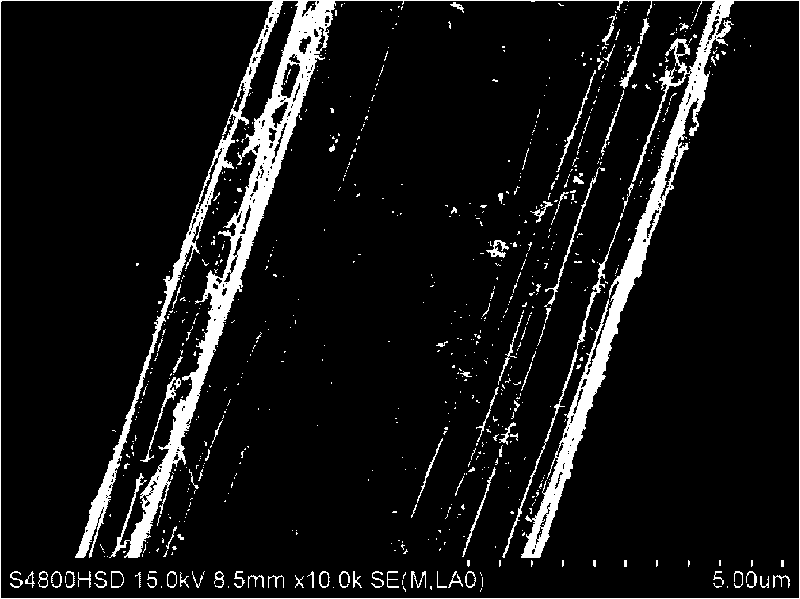 Preparation method of root-like carbon nanotube grafting carbon fiber reinforcement