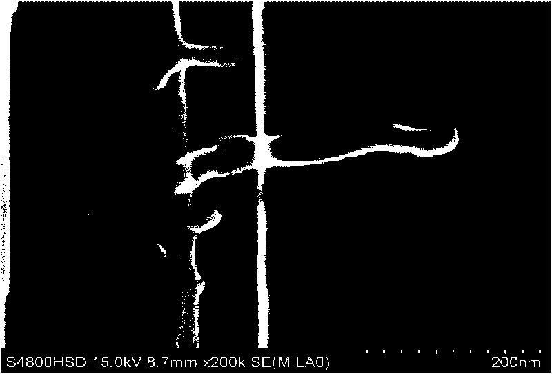 Preparation method of root-like carbon nanotube grafting carbon fiber reinforcement