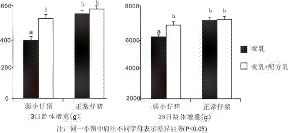 Liquid formula milk special for weak piglets and preparation method thereof