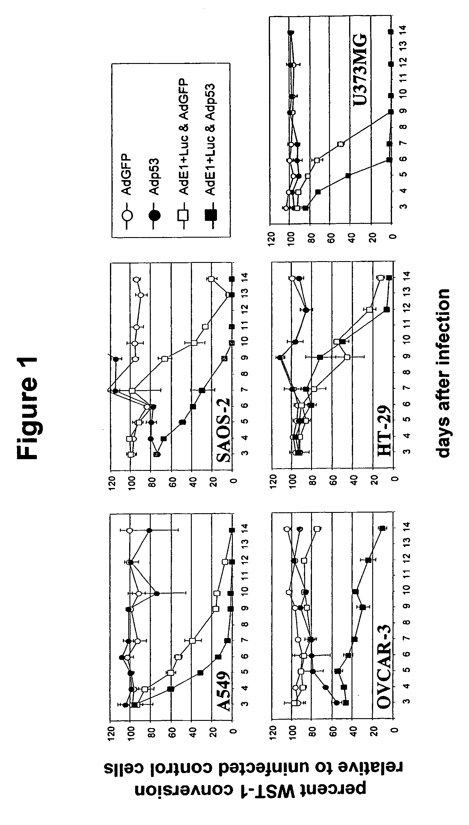 Viruses with enhanced lytic potency