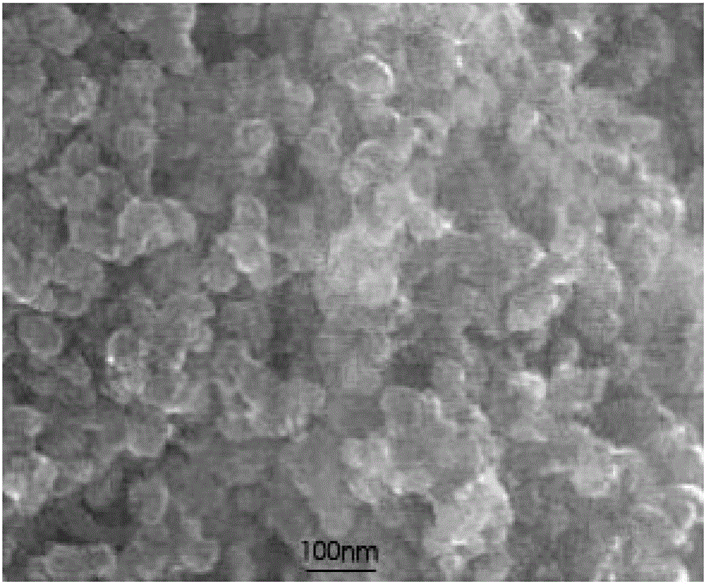 Preparation process of interventional therapy magnetic targeting drug carrier