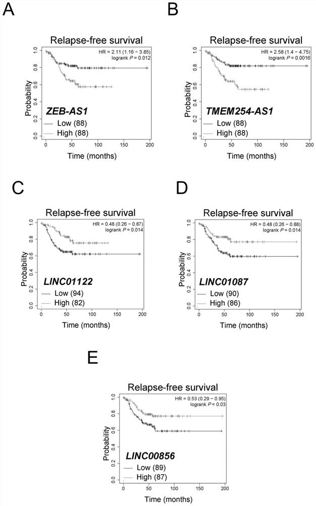 Marker for detecting triple negative breast cancer as well as detection reagent and application thereof