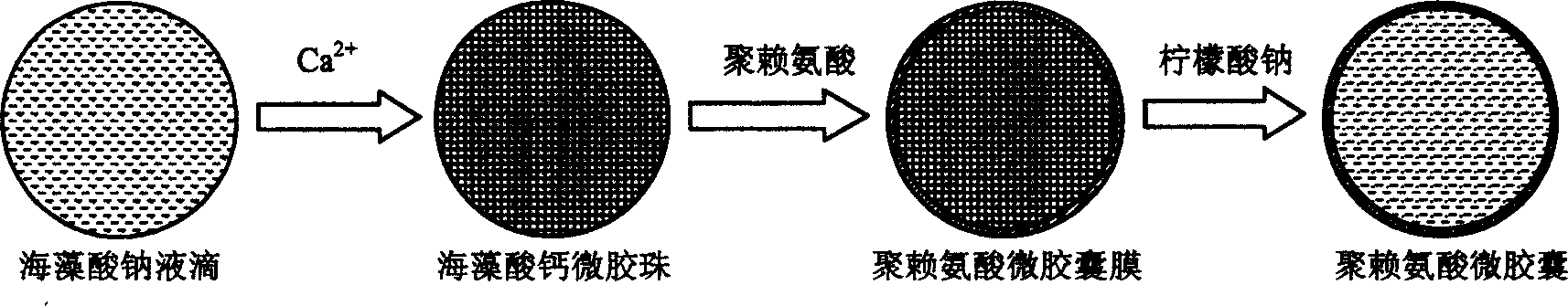 Method for preparing fixed yeast cell micro capsule