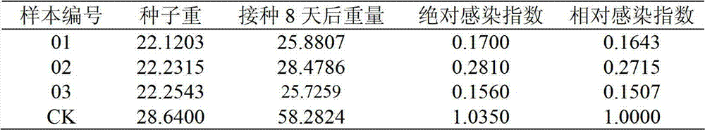 Identification method of resistance to aspergillus flavus infection of peanuts and application thereof