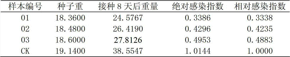 Identification method of resistance to aspergillus flavus infection of peanuts and application thereof