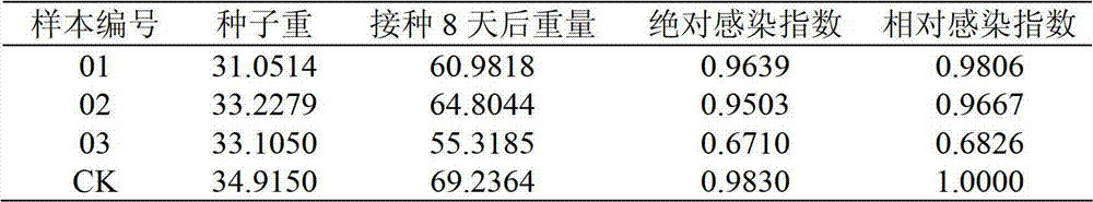 Identification method of resistance to aspergillus flavus infection of peanuts and application thereof