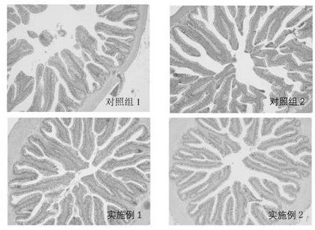 Feed additive and application thereof in largemouth bass feed