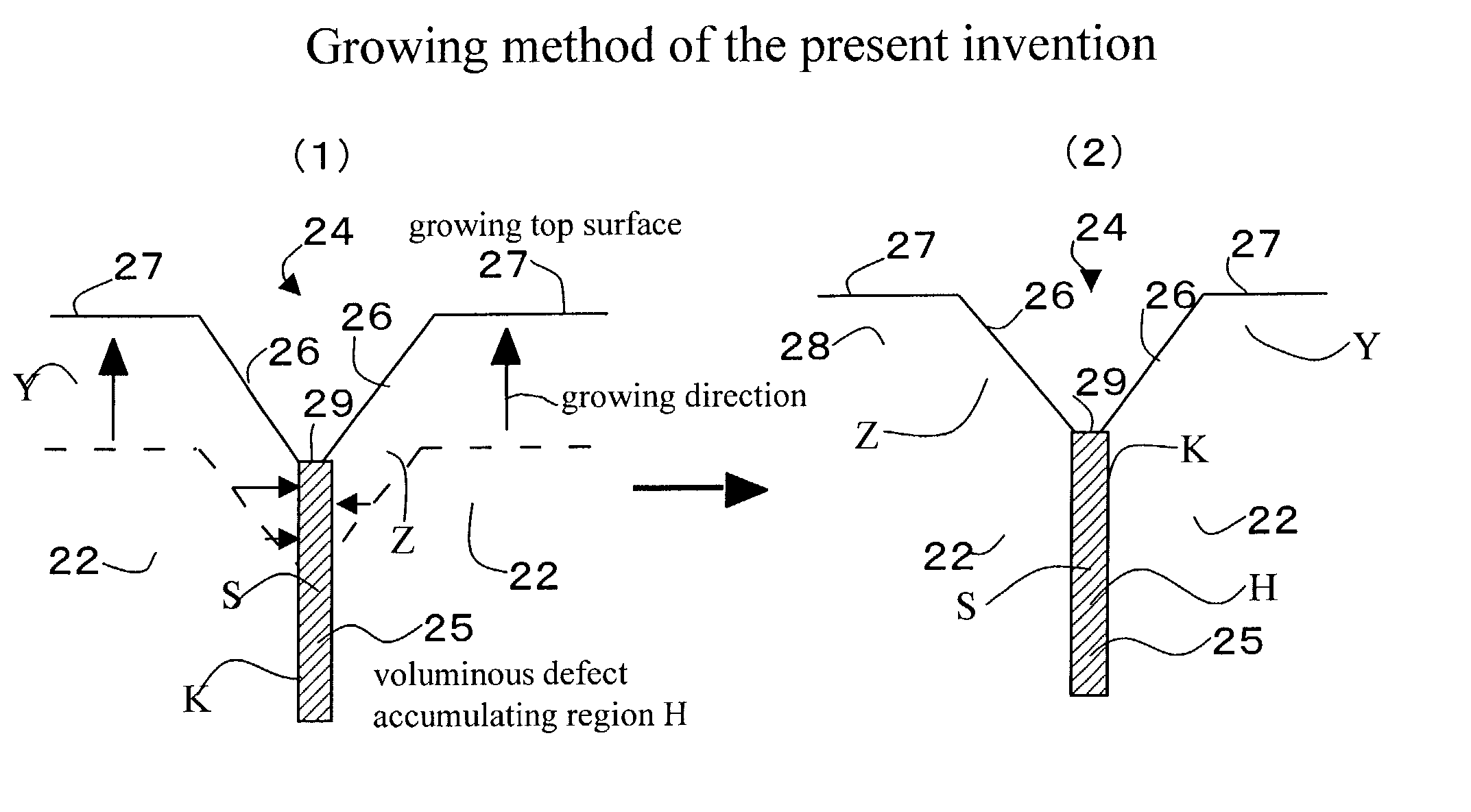 Single crystal GaN substrate, method of growing single crystal GaN and method of producing single crystal GaN substrate