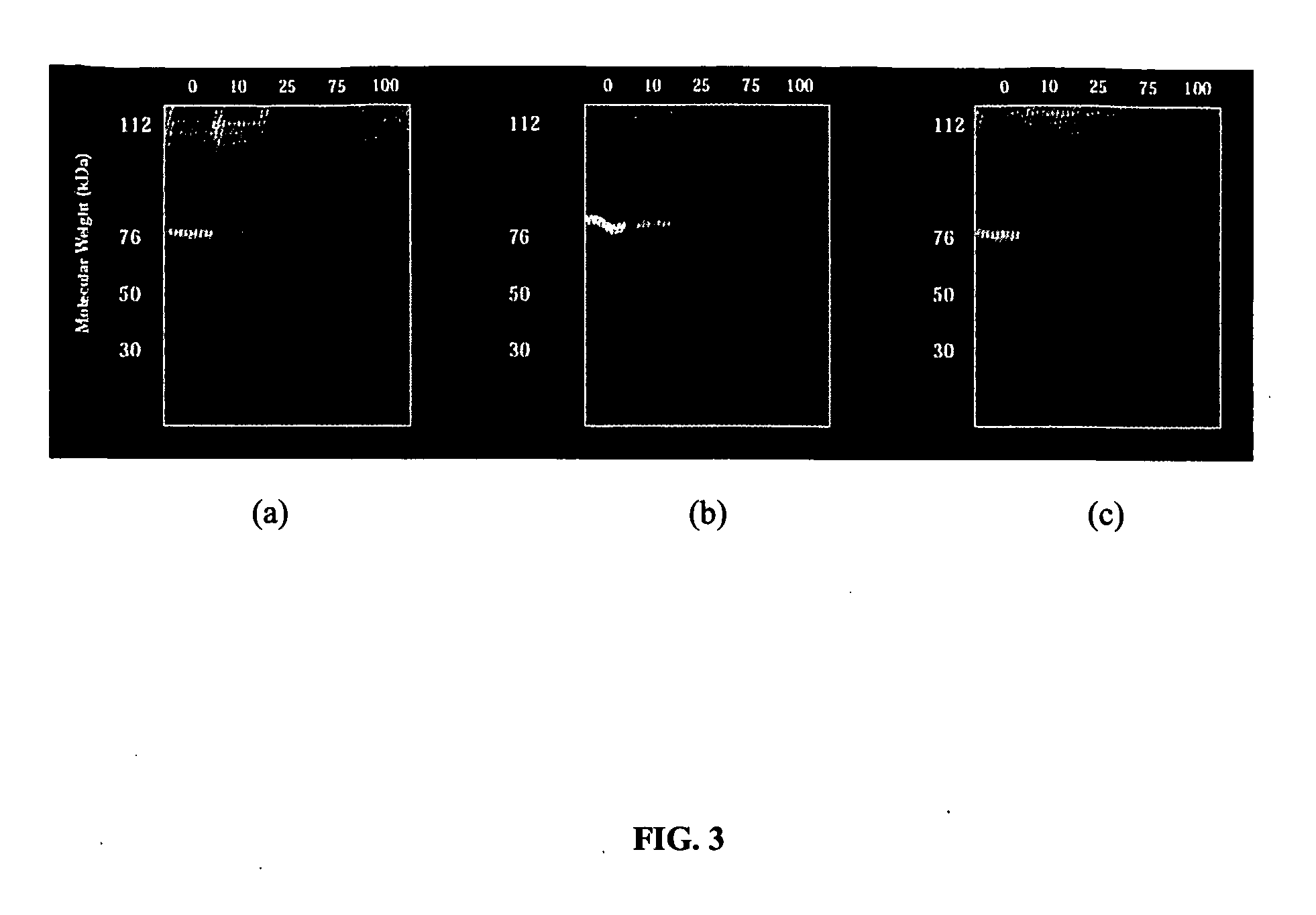 Methods For Treating or Preventing a Vascular Disease