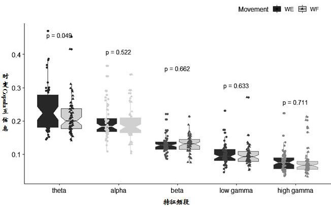 Inter-muscular coupling analysis method based on time-varying Copula mutual information