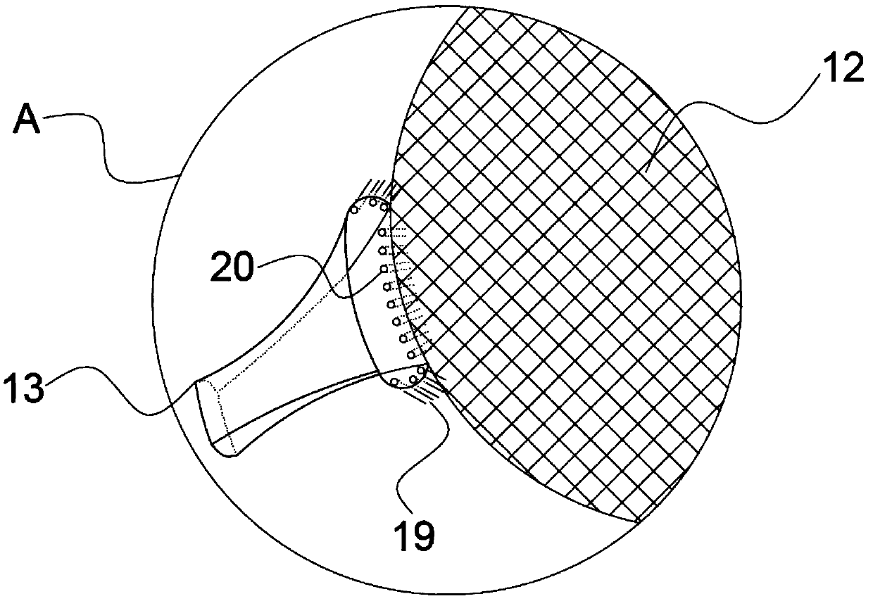 Washing and grading device for tidal shellfish